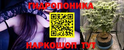 ешки Лесосибирск