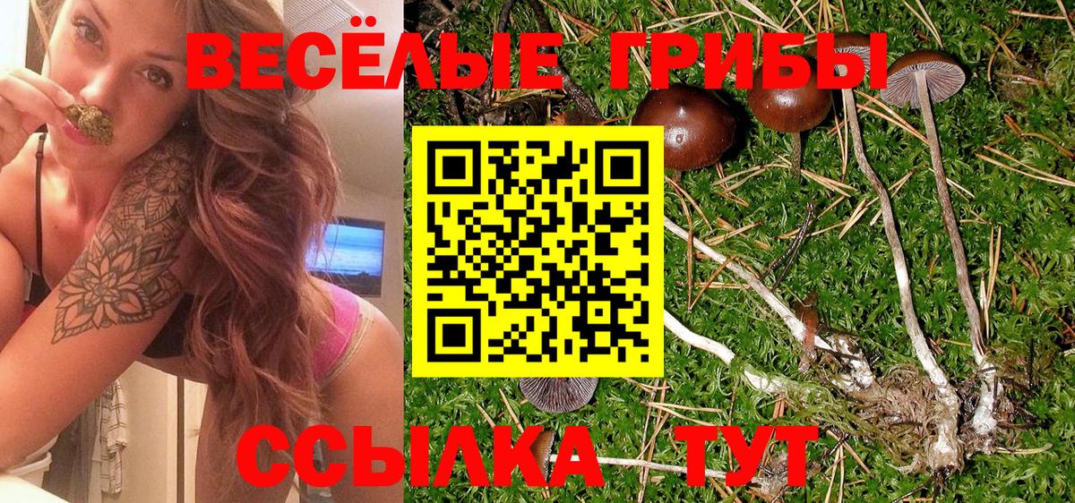 Старая Купавна  Псилоцибиновые грибы Magic Shrooms  закладки  Вход с VPN 